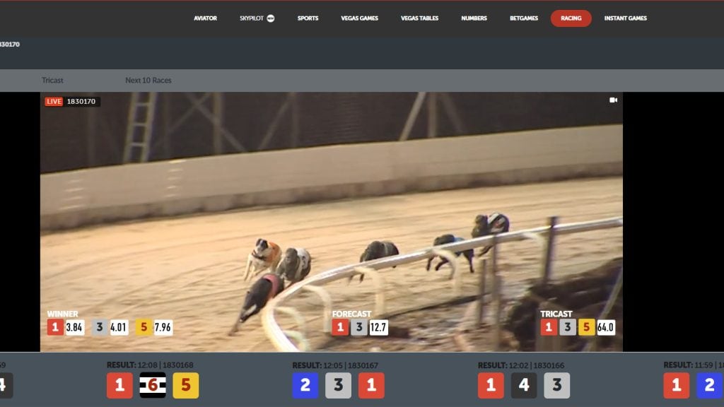 playbet south africa live dog racing stream example