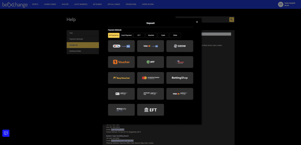betXchange South Africa review deposit methods example