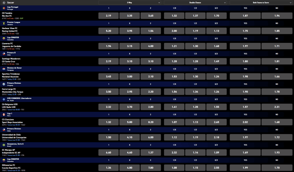 BetXchange South Africa review sports betting odds example