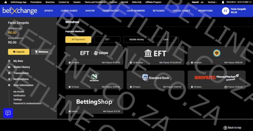 betXchange South Africa withdrawal methods preview