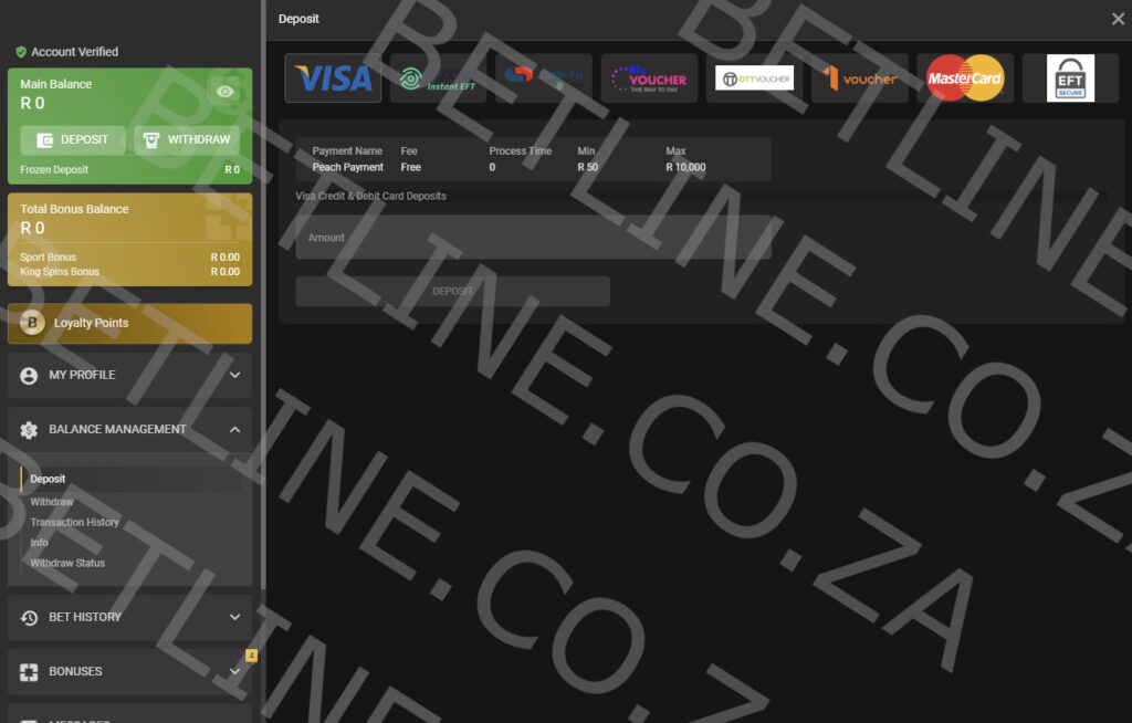 KingBets South Africa deposit methods preview