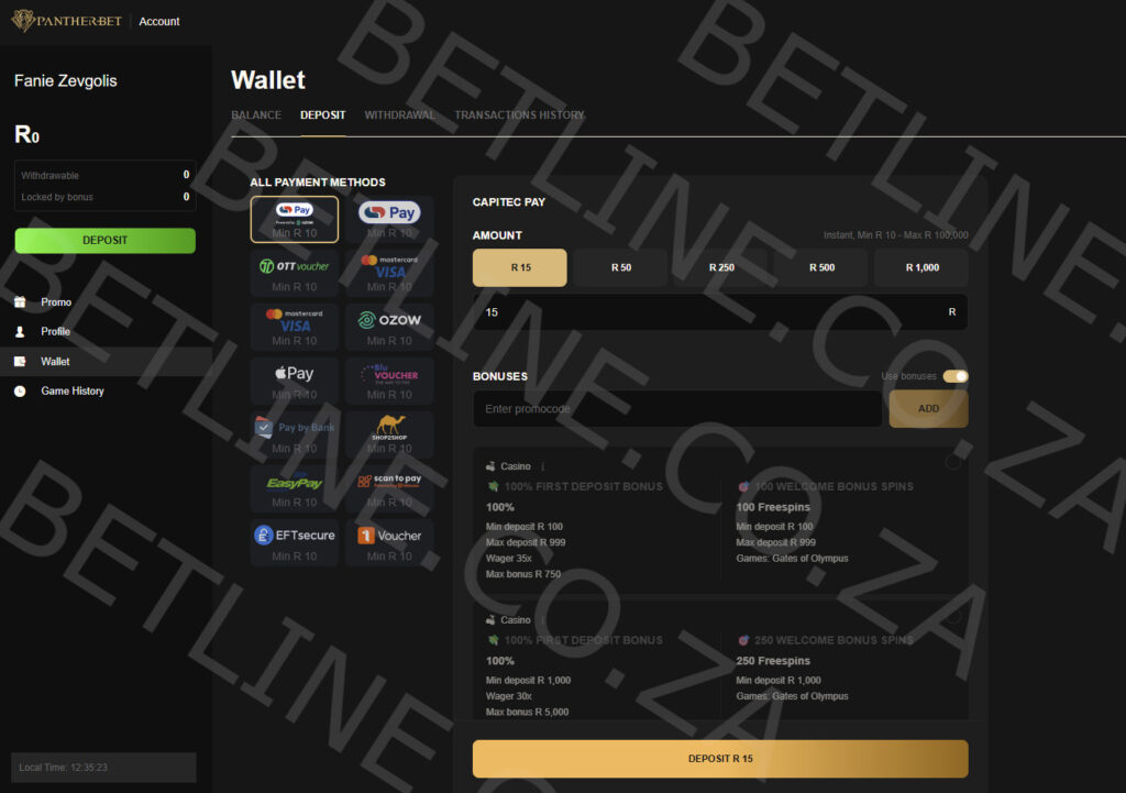 PantherBet South Africa deposit methods preview