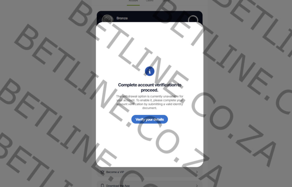sumsub verification step 1 preview