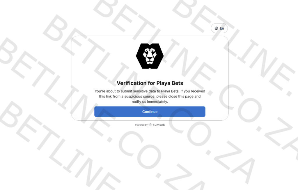 sumsub verification step 2 preview