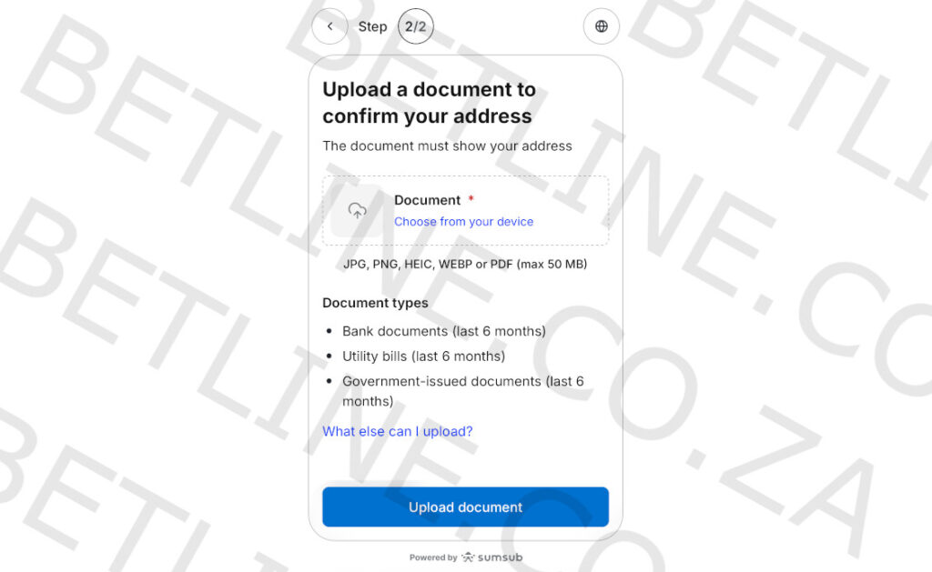 sumsub verification step 6 preview