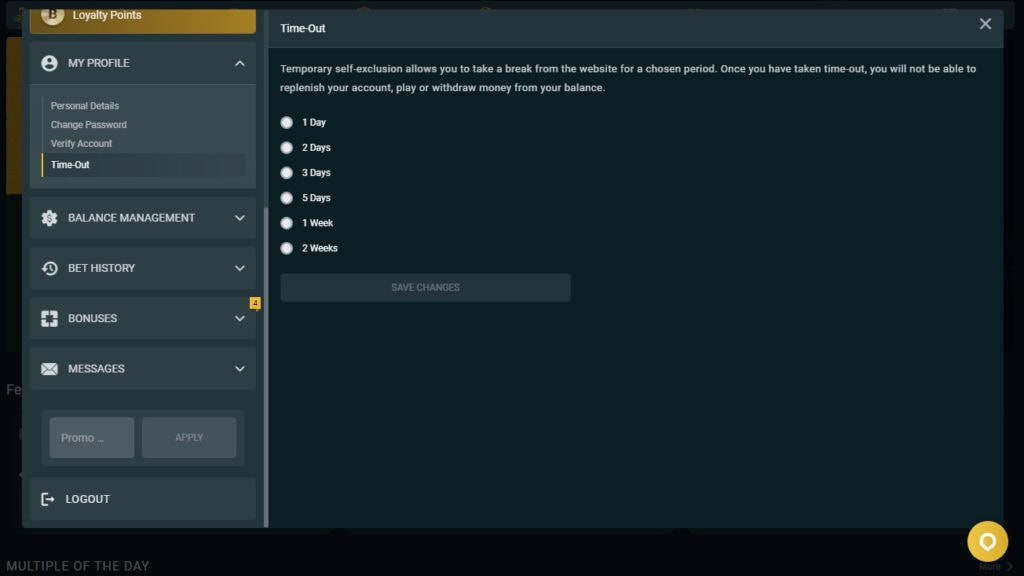 temporary time out settings responsible gambling controls on betting sites
